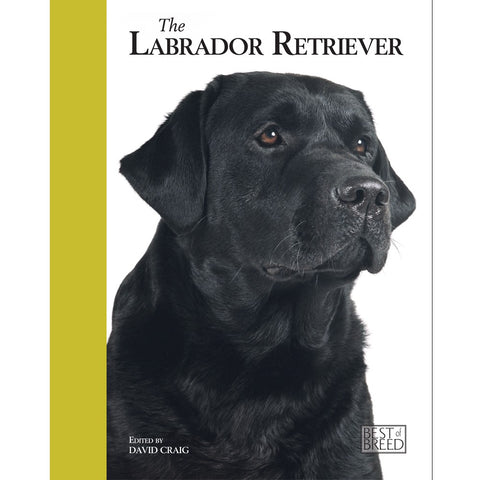 LABRADOR RETRIEVER - BEST OF BREED (4606638194741)