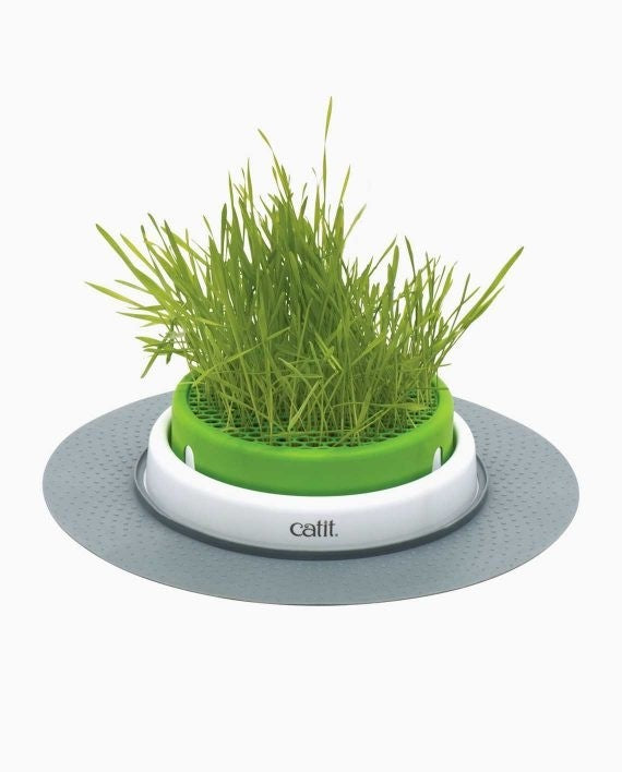 CATIT SENSES 2.0 GRASS PLANTER (4601376014389)