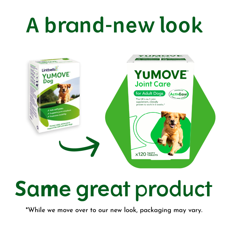 *YuMOVE Joint Care for Adult Dogs 120 tabs