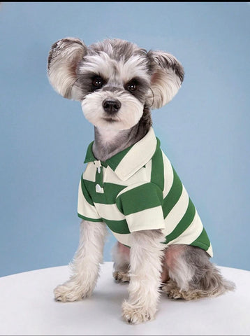 *Polo shirt green