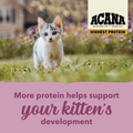 Acana Highest Protein Complete Kitten Food 1.8kg