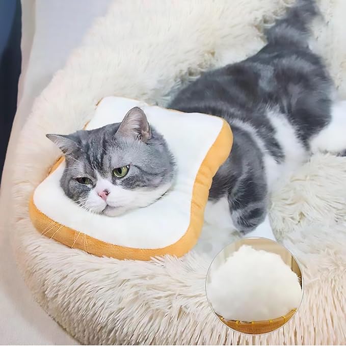 *Toast Cat Collar
