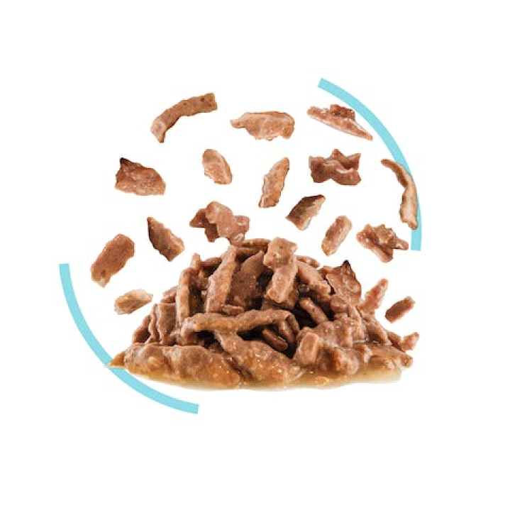 *Feline Health Nutrition Sensory Feel Gravy (WET FOOD - POUCHES) 12x85G