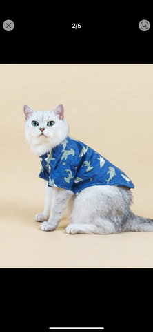 *Shirt Print Shark