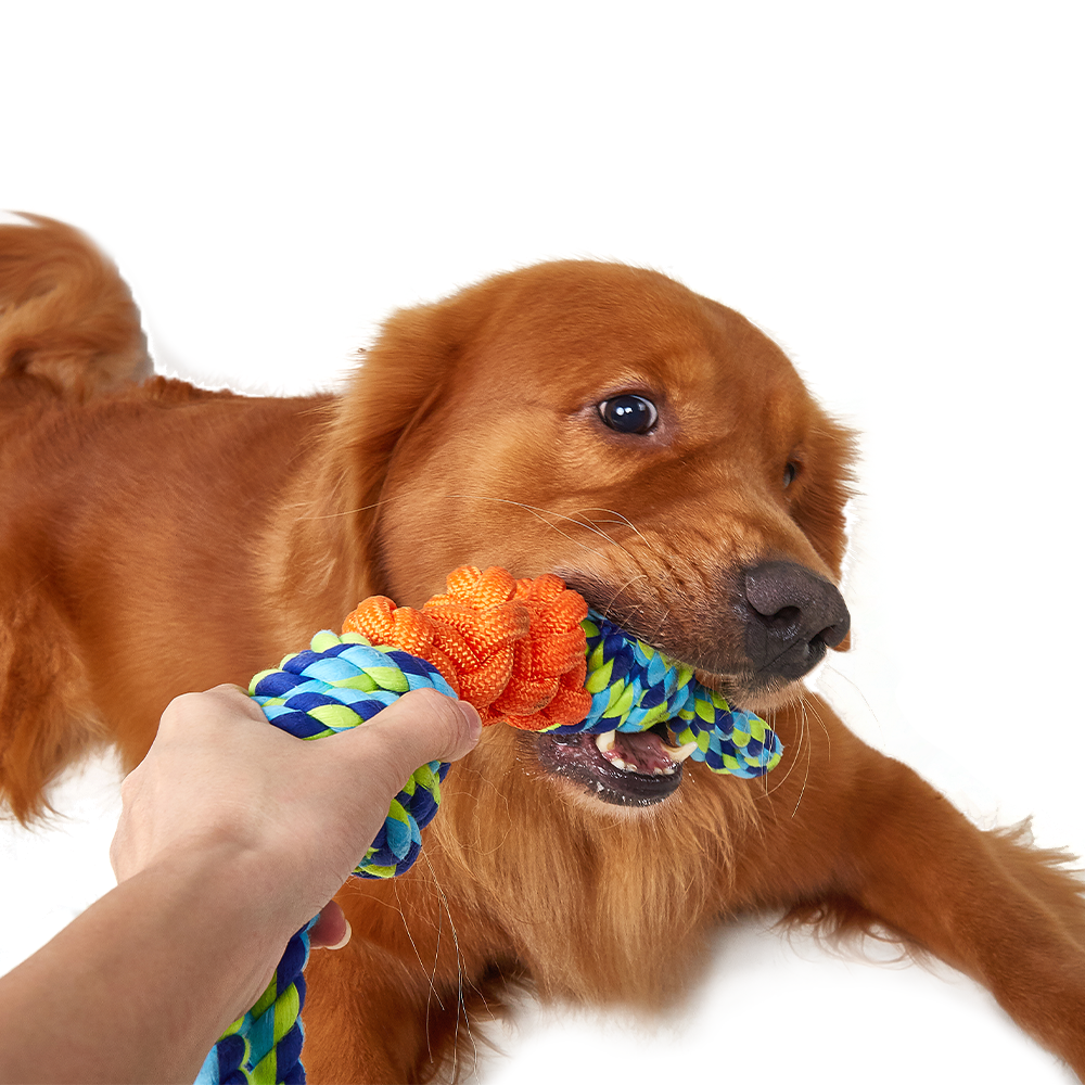 FOFOS Flossy Rope Tug Orange/Blue Dog Toy