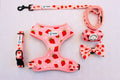 PAWS Berry cute collection Adjustable air mesh harness set