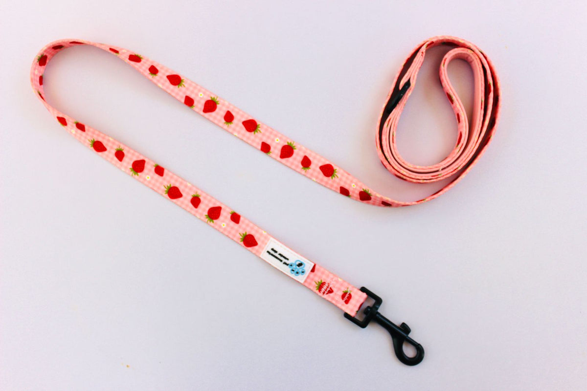 PAWS Berry cute collection Adjustable air mesh harness set
