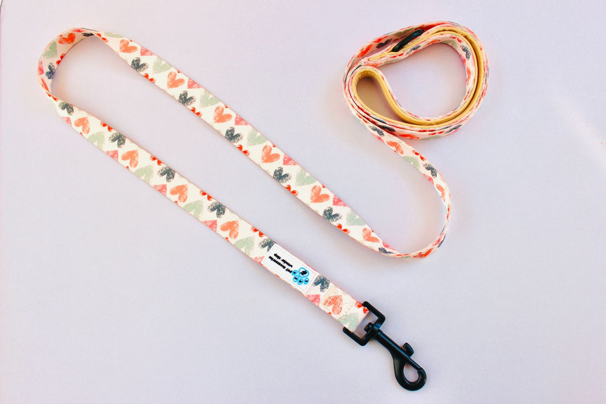 PAWS In love collection Adjustable air mesh harness set