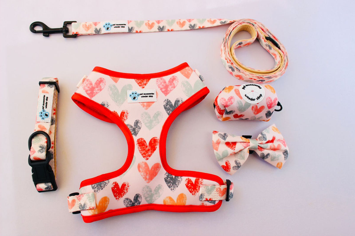 PAWS In love collection Adjustable air mesh harness set
