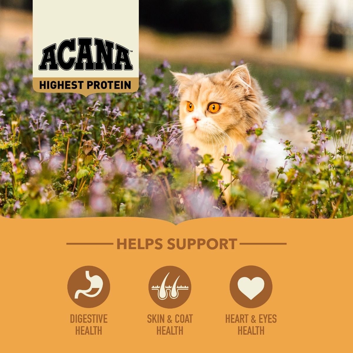 *Acana Wild Prairie Free-Run Poultry Wild-Caught Fish All Life Stages Dry Cat Food