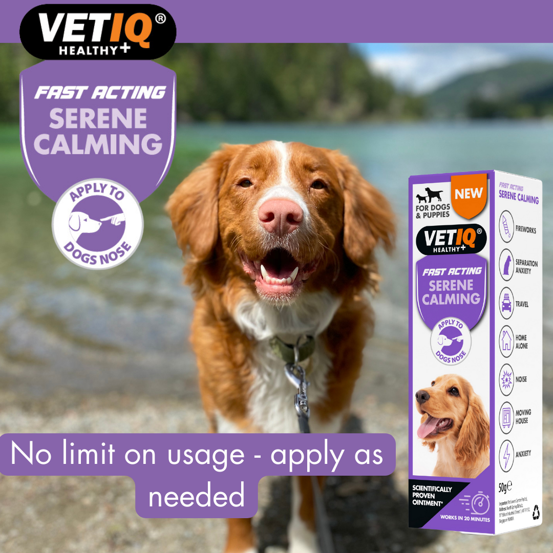 *VetIQ Serene Calming Dog Ointment 50g