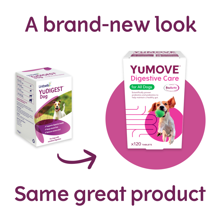 *YuMOVE Digestive Care 120 tabs