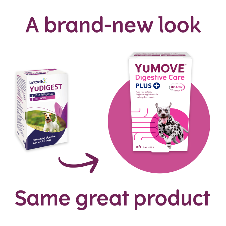 *YuMOVE Digestive Care Plus 6 sachets
