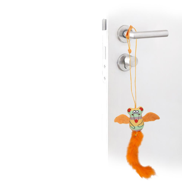 *Catoon - Flying Mouse