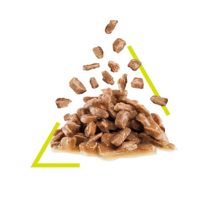 *Feline Health Nutrition Sensory Smell Gravy (WET FOOD - POUCHE )