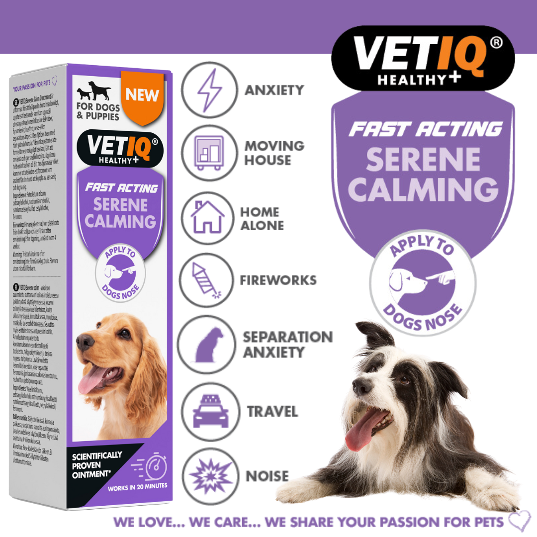 *VetIQ Serene Calming Dog Ointment 50g