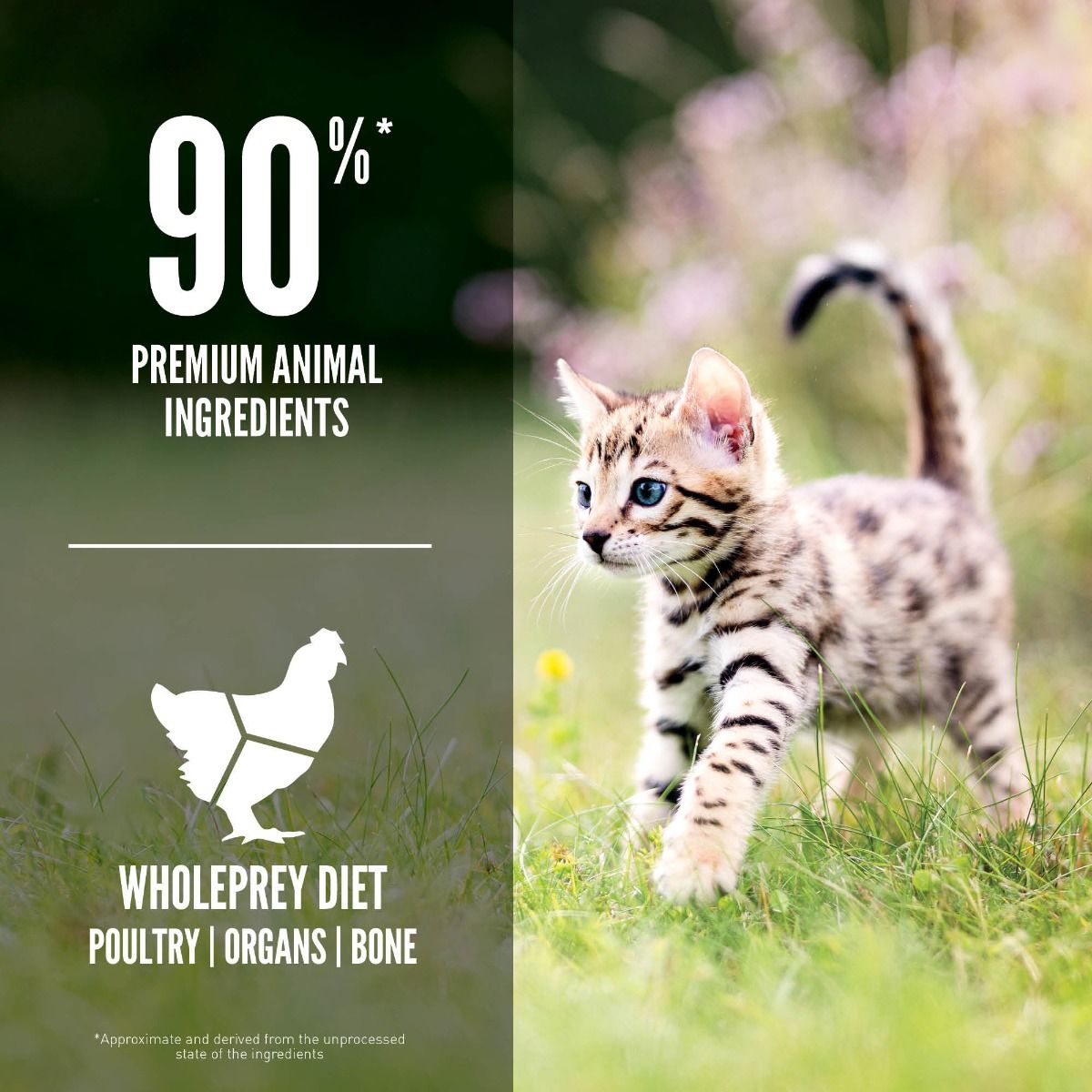 *Orijen Kitten Dry Food