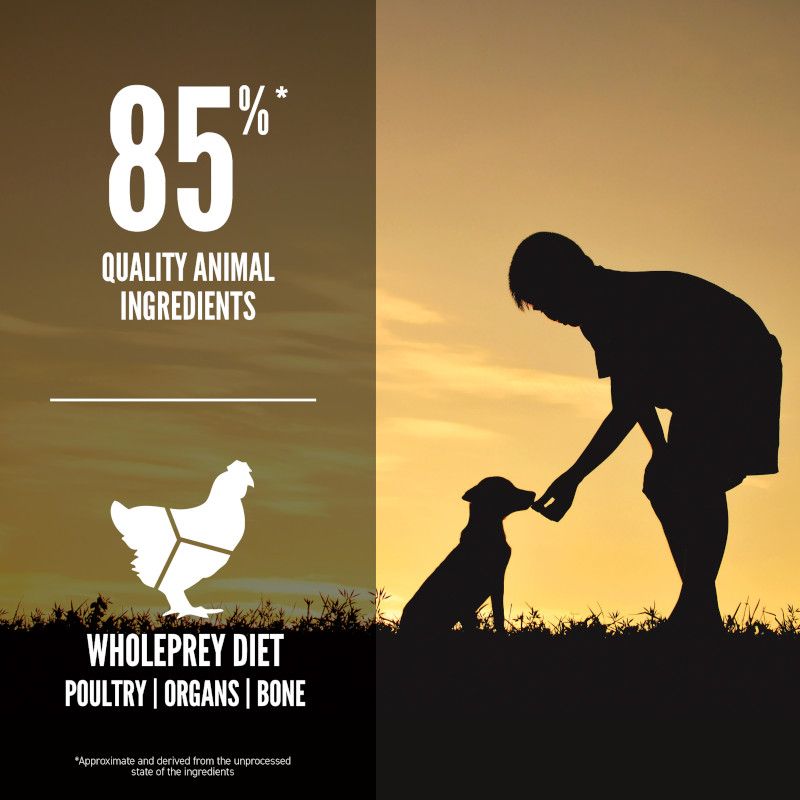 *Orijen Puppy Small Breed Dry Dog Food