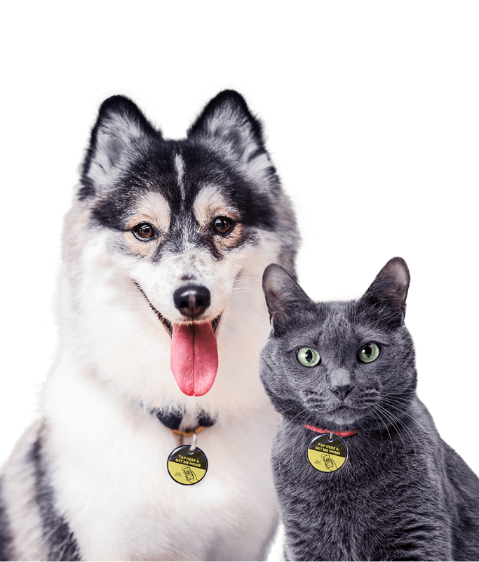 *The Pet Tap Smart Pet NFC ID Locator Tags