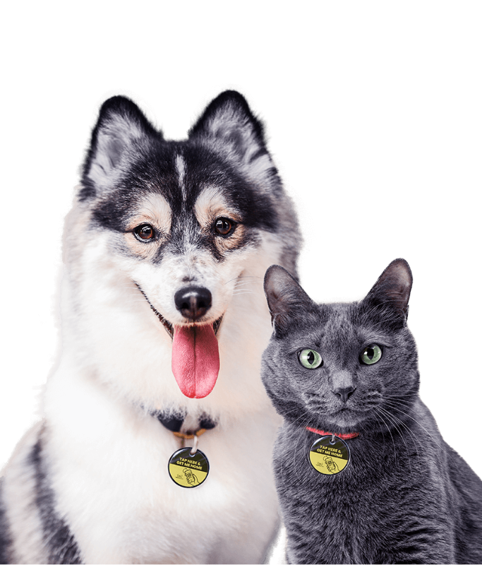 The Pet Tap Smart Pet NFC ID Locator Tags