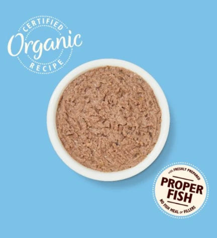 Lily's Kitchen Organic Fish Pate Wet Cat Food 85G