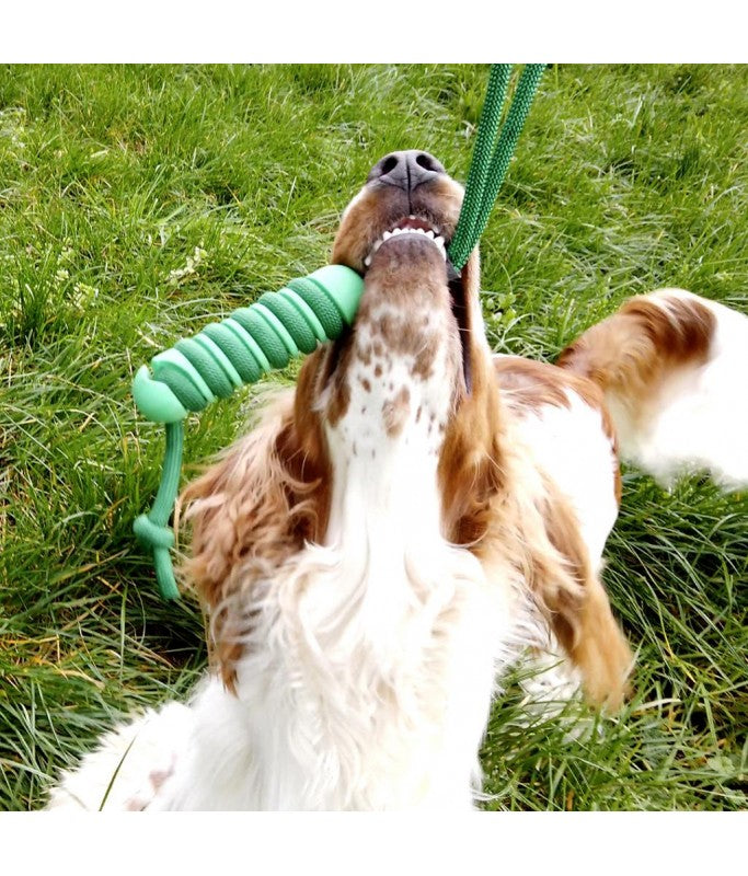 *Duvo Swing 'N Chew Sticks - 12.2 X 3.2 X 3.2cm - Green