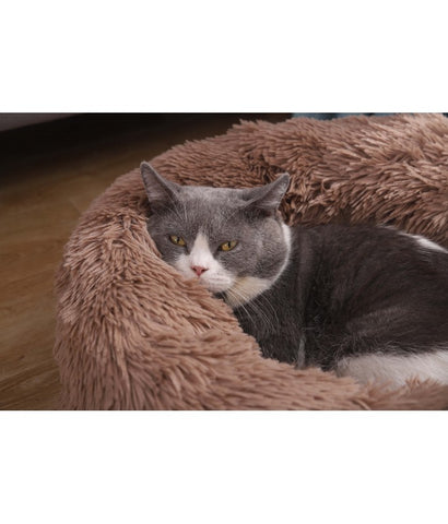 *Pado Pet Fluffy Donut Cushion - Brown