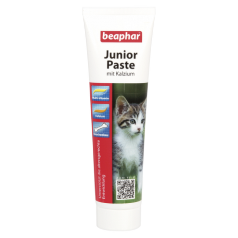 JUNIOR PASTE - CAT (4589814644789)