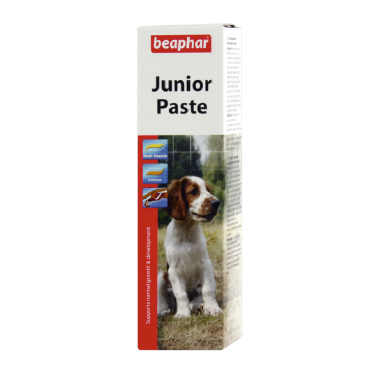 JUNIOR PASTE - DOG (4589815562293)
