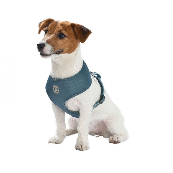 ASANOHA T-SHIRT HARNESS - BLUE (4606076485685)