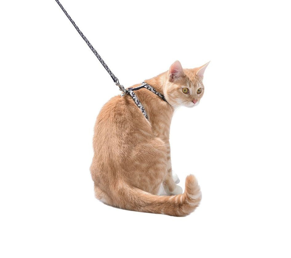 CONFETTI CAT HARNESS & LEAD - MAUVE (4606652678197)