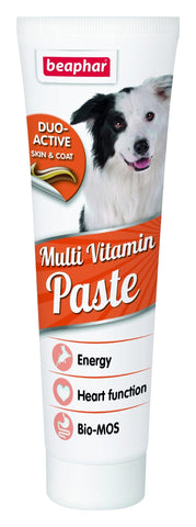 DUO ACTIVE PASTE MULTIVITAMIN DOG (4589809369141)