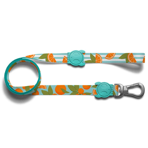 Zee.Dog Florida Leash