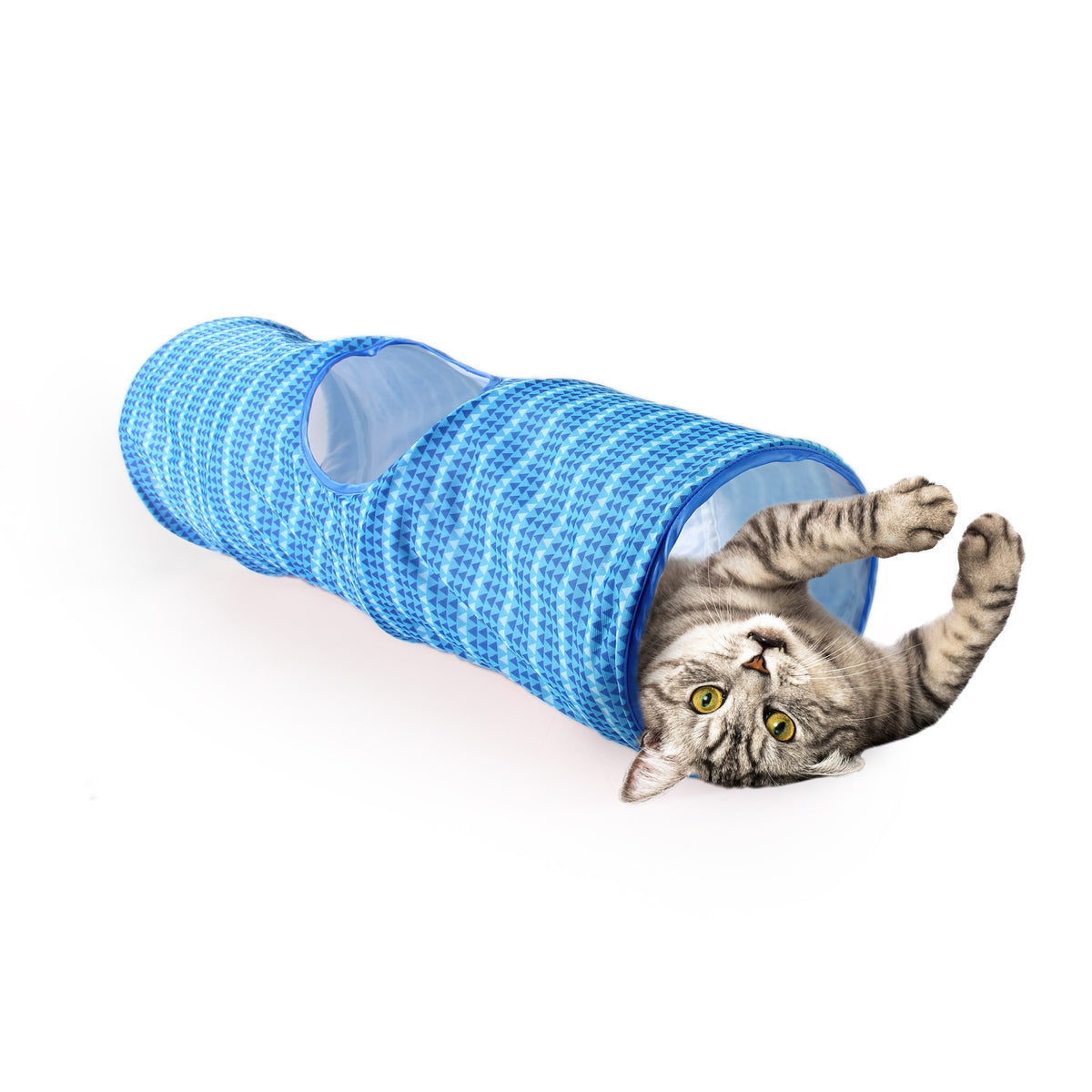 *MODERN CAT TUNNEL