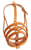 ENGLISH MUZZLE - NATURAL (4620720865333)