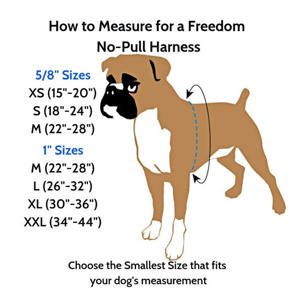 FREEDOM NO-PULL HARNESS AND LEASH - BLACK / XS 5/8" (4588881084469)