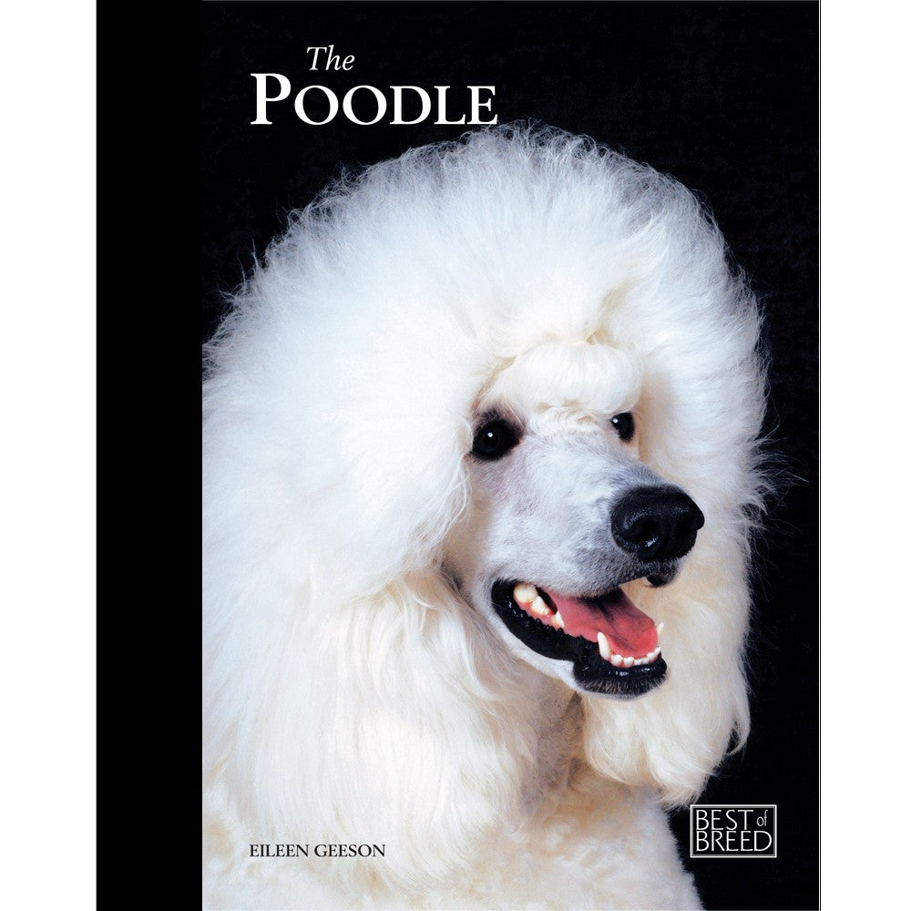 POODLE - BEST OF BREED (4606641111093)