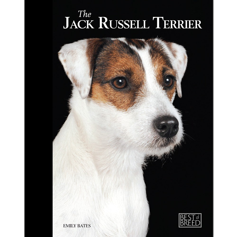 JACK RUSSELL - BEST OF BREED (4606639505461)
