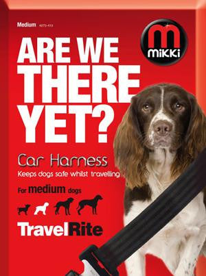 *CAR HARNESS