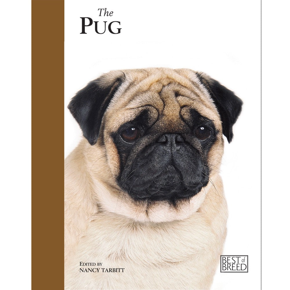 PUG - BEST OF BREED (4606639046709)