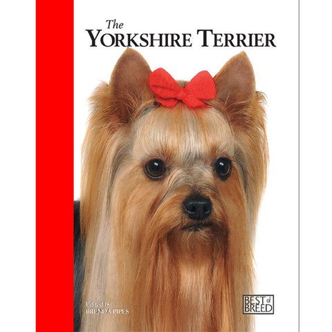 YORKSHIRE TERRIER - BEST OF BREED (4606640652341)