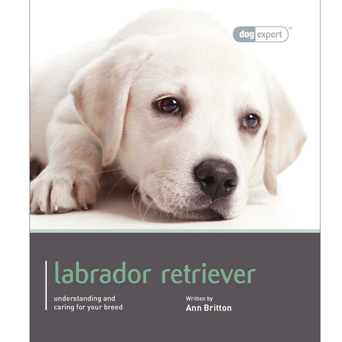 LABRADOR - DOG EXPERT (4606632788021)