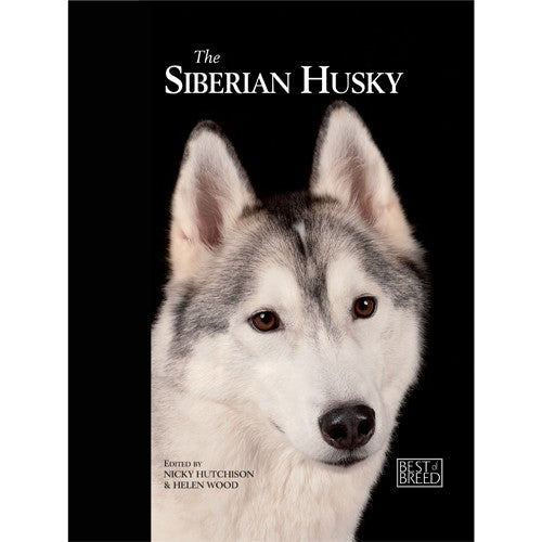 SIBERIAN HUSKY - BEST OF BREED (4606640816181)