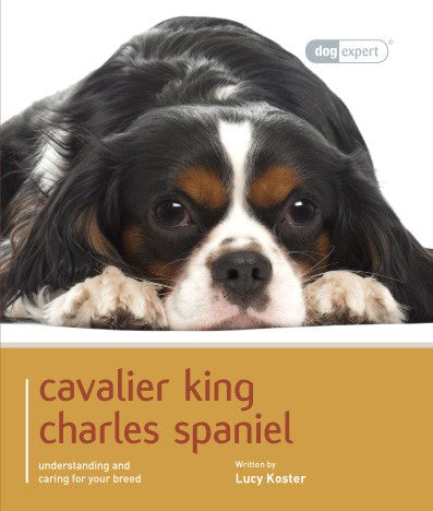 CAVALIER KING CHARLES SPANIEL - DOG EXPERT (4608887259189)