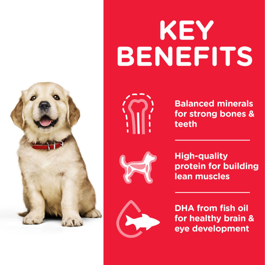 *Science Plan Large Breed Puppy Food With Chicken