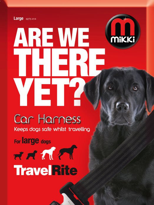 *CAR HARNESS
