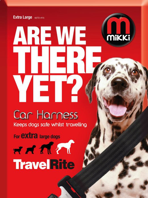 *CAR HARNESS