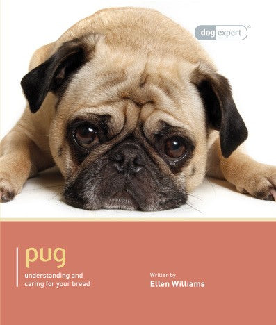 PUG - DOG EXPERT (4606633082933)