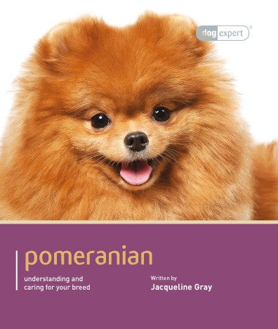 POMERANIAN - DOG EXPERT (4606632460341)