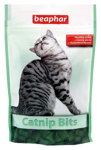 CATNIP-BITS CAT